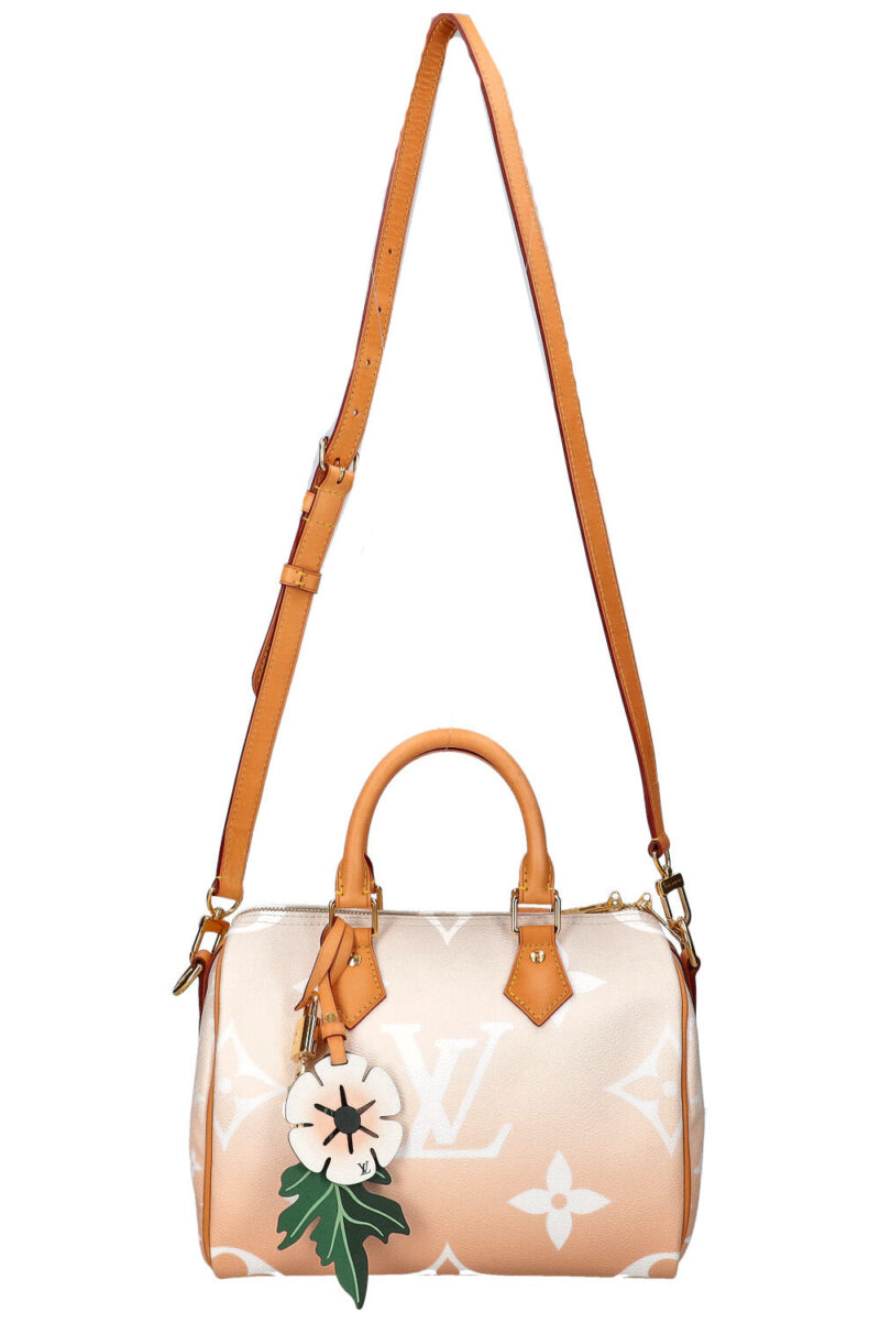 LOUIS VUITTON By the Pool Speedy 25 AWE - Image 12