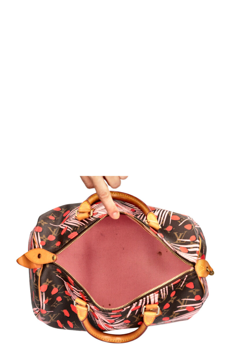 LOUIS VUITTON Jungle Dots Speedy 30 MNG AWE - Image 10
