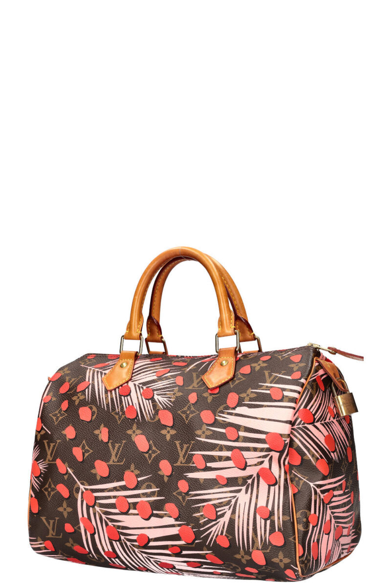 LOUIS VUITTON Jungle Dots Speedy 30 MNG AWE - Image 5