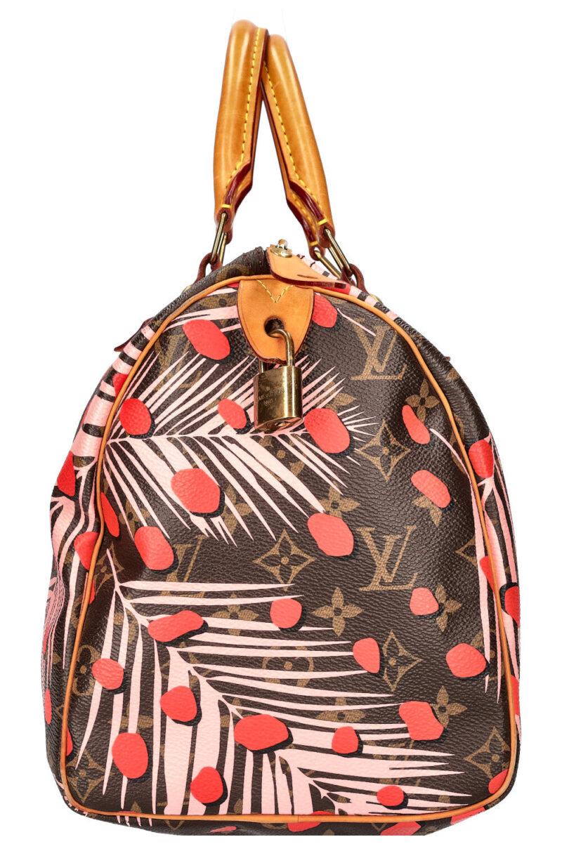 LOUIS VUITTON Jungle Dots Speedy 30 MNG AWE - Image 4