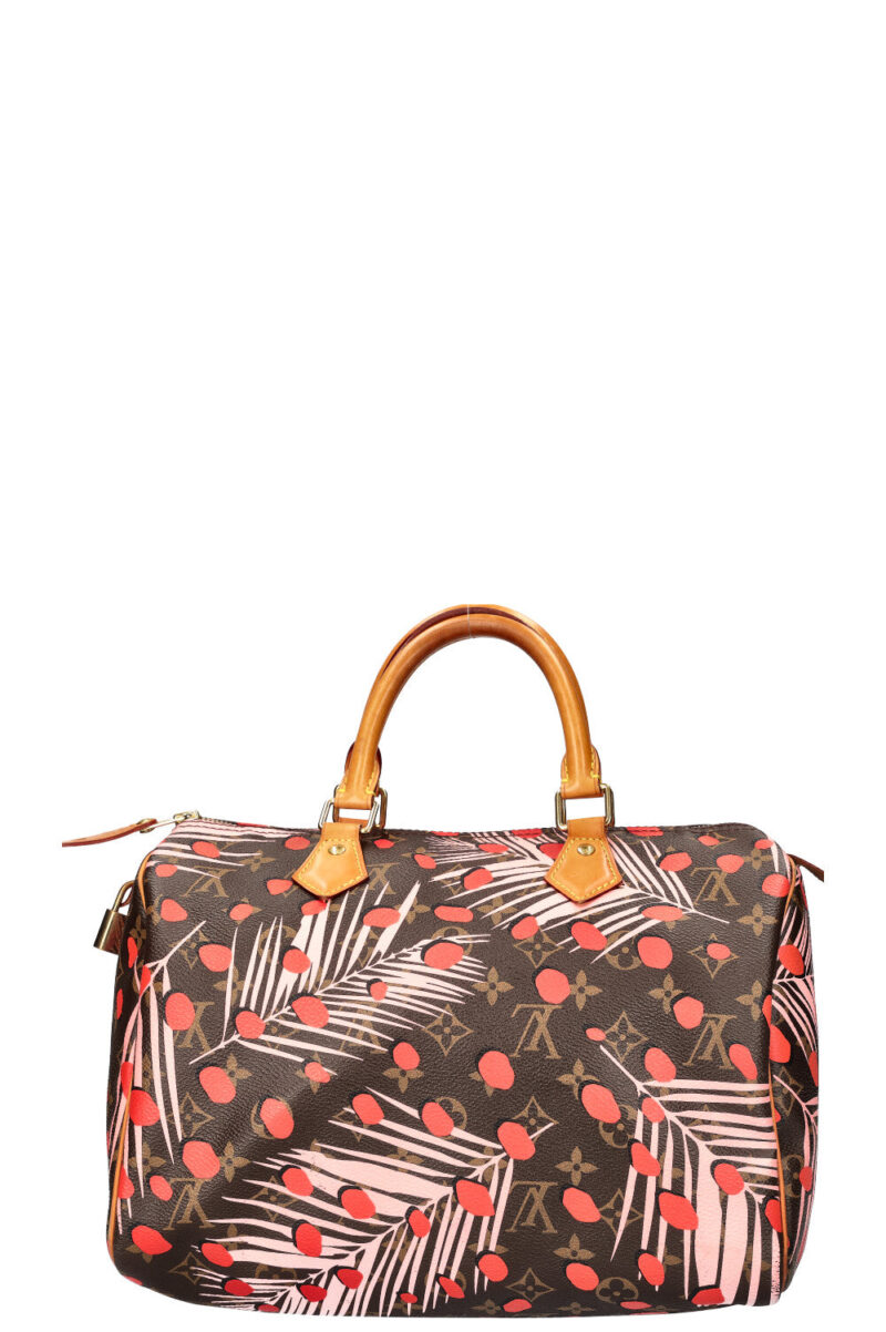 LOUIS VUITTON Jungle Dots Speedy 30 MNG AWE - Image 3