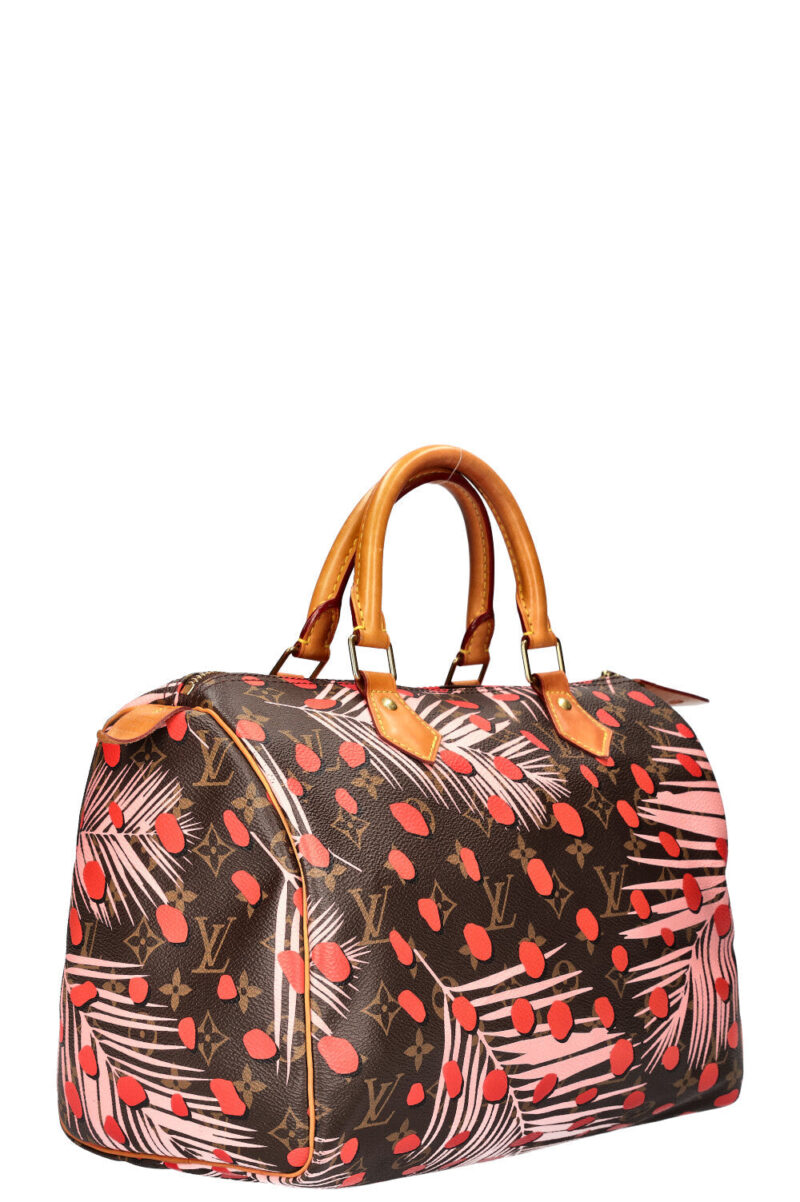 LOUIS VUITTON Jungle Dots Speedy 30 MNG AWE - Image 2