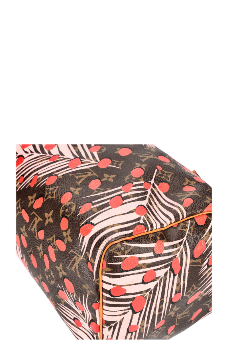 LOUIS VUITTON Jungle Dots Speedy 30 MNG AWE - Image 6