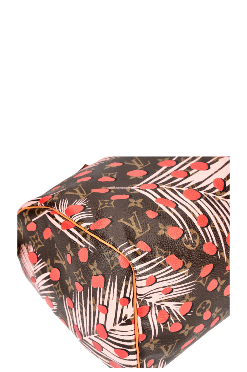 LOUIS VUITTON Jungle Dots Speedy 30 MNG AWE - Image 8