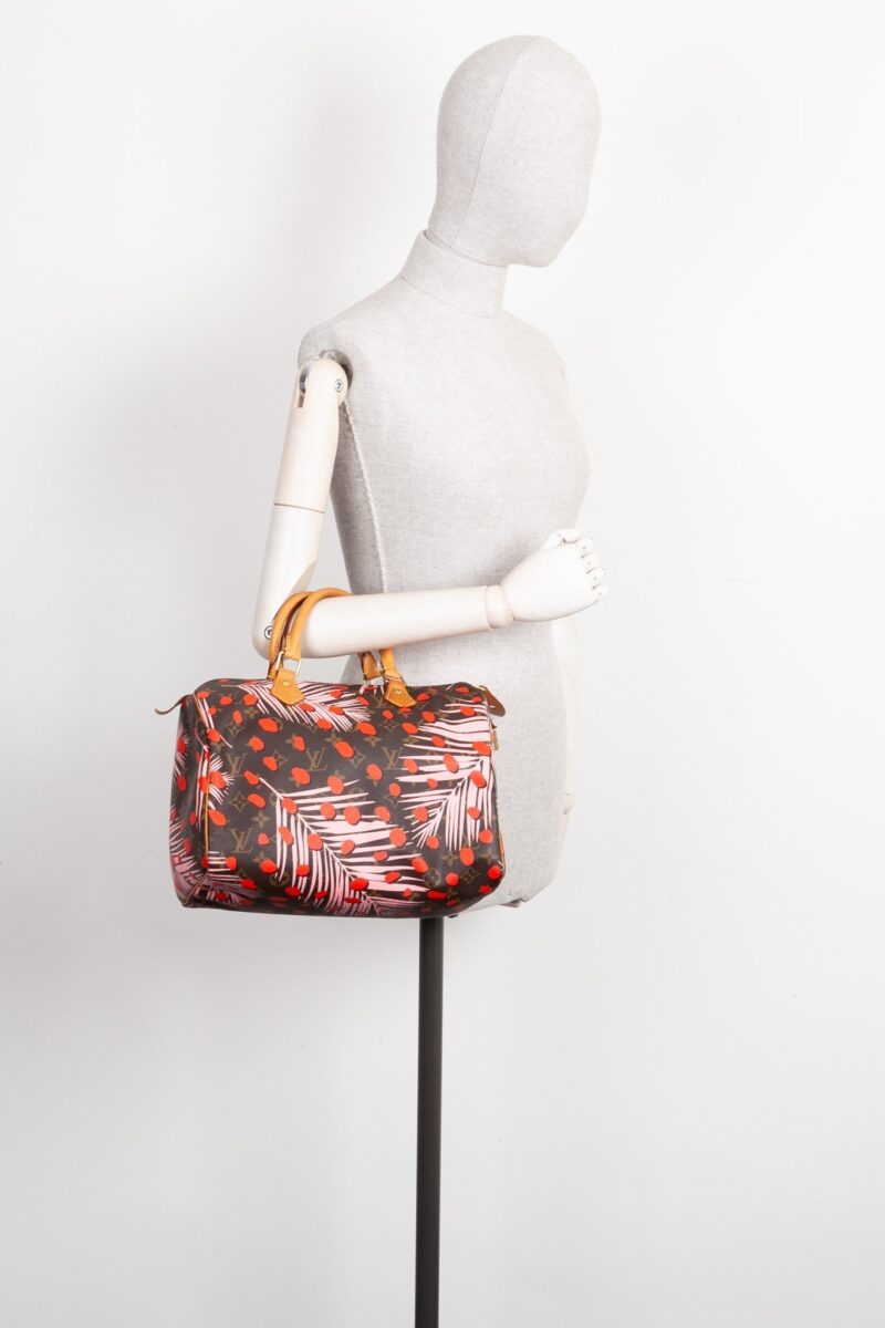 LOUIS VUITTON Jungle Dots Speedy 30 MNG AWE