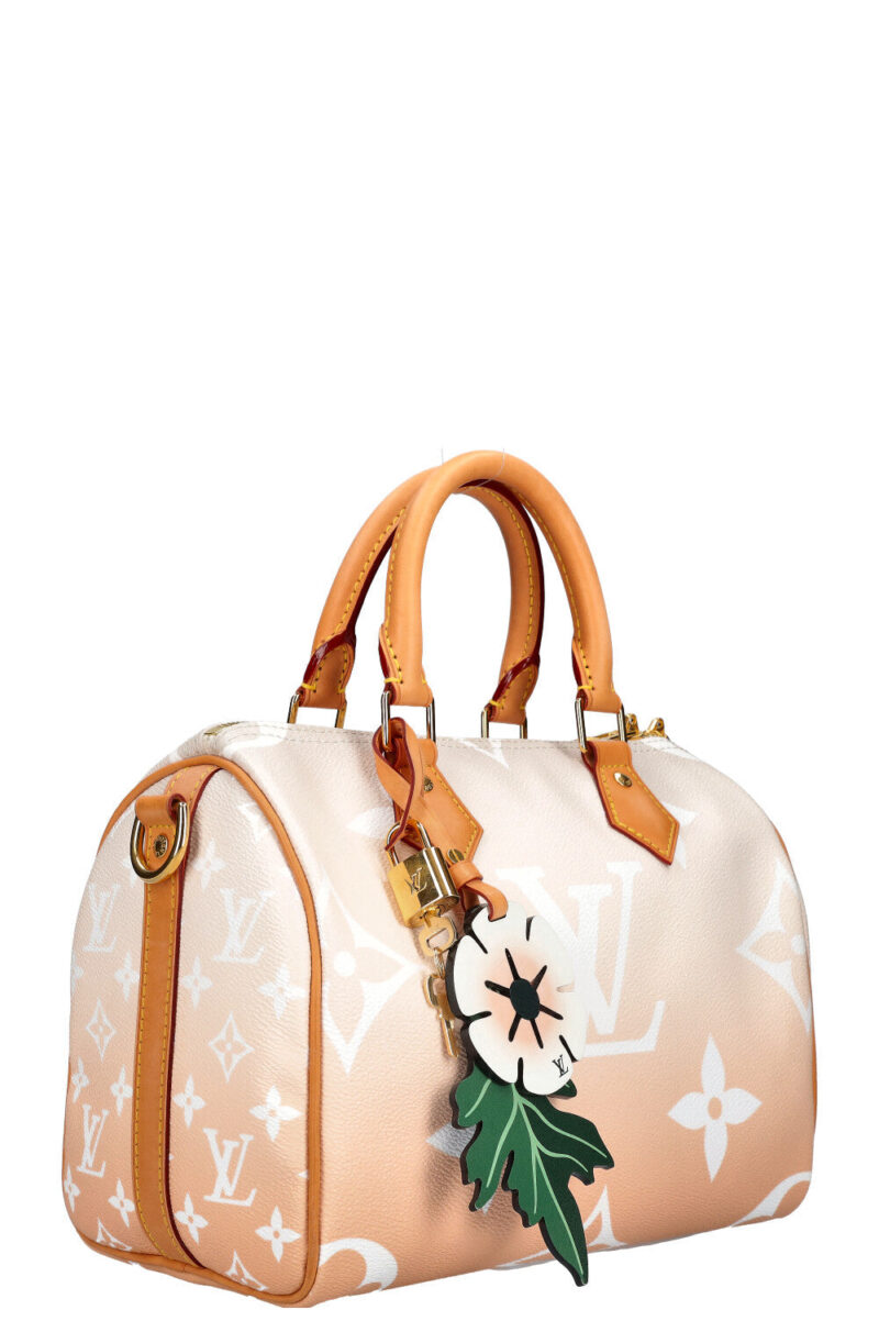 LOUIS VUITTON By the Pool Speedy 25 AWE - Image 3