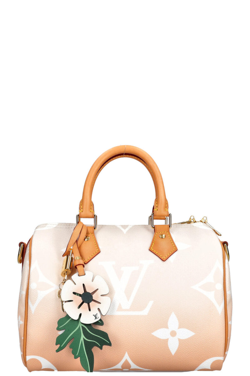 LOUIS VUITTON By the Pool Speedy 25 AWE - Image 2