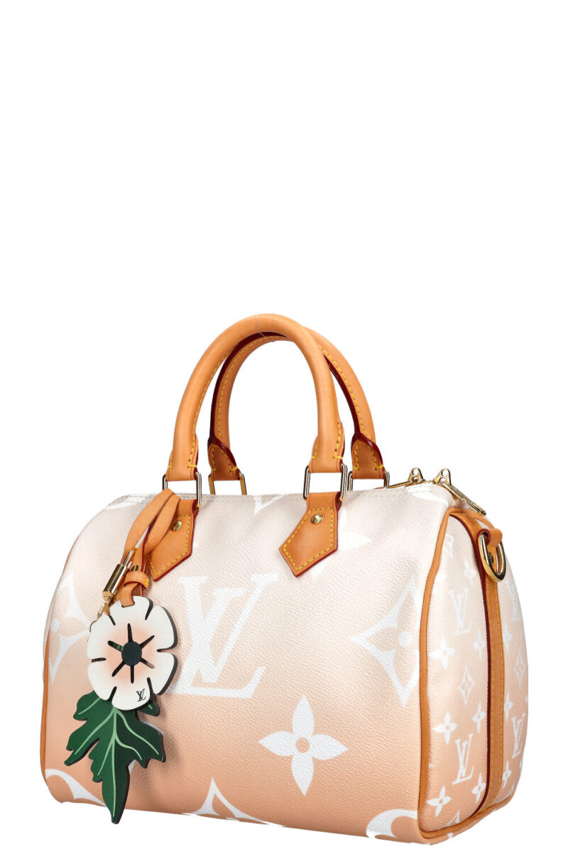 LOUIS VUITTON By the Pool Speedy 25 AWE - Image 6