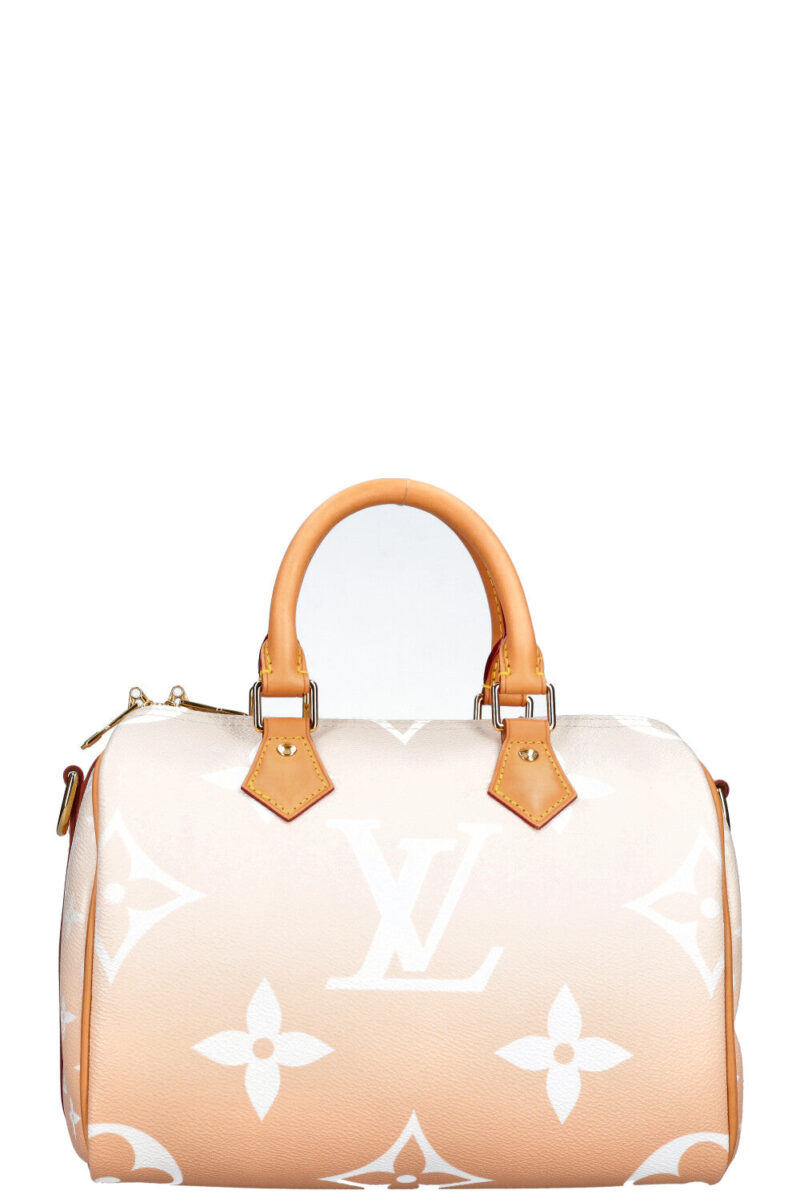 LOUIS VUITTON By the Pool Speedy 25 AWE - Image 5