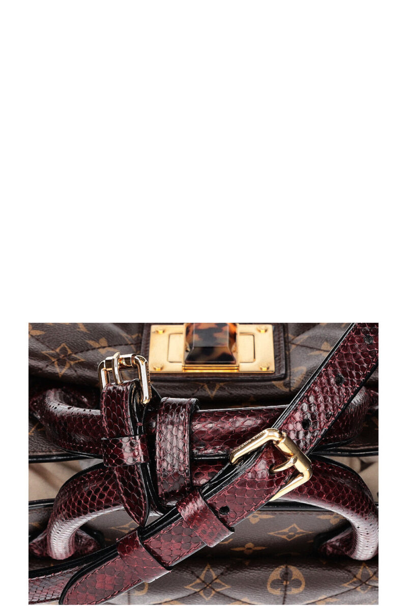 LOUIS VUITTON Etoile GM AWE - Image 15