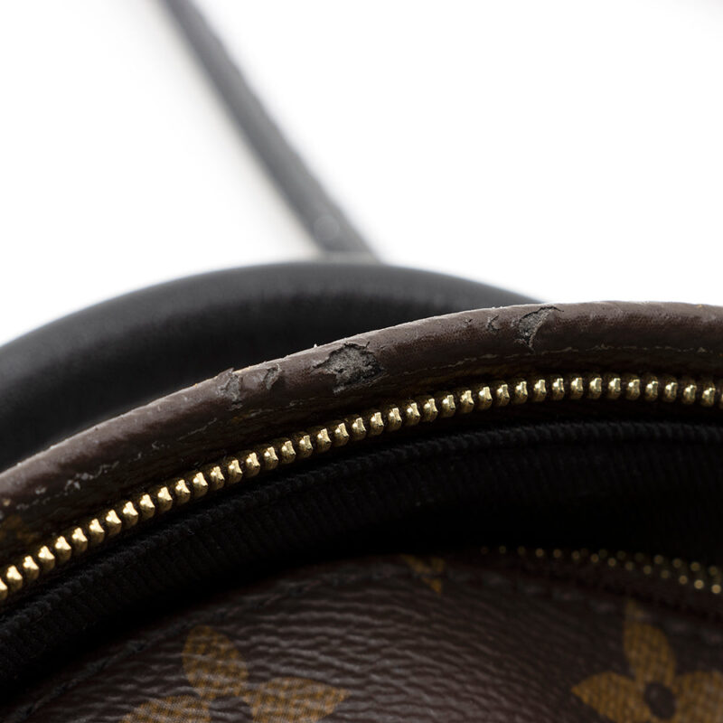 Louis Vuitton Monogram Canvas Palm Springs Mini Backpack (SHF-20573) AWE - Image 10