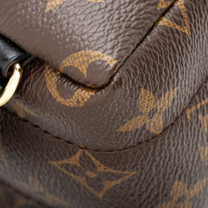 Louis Vuitton Monogram Canvas Palm Springs Mini Backpack (SHF-20573) AWE - Image 12