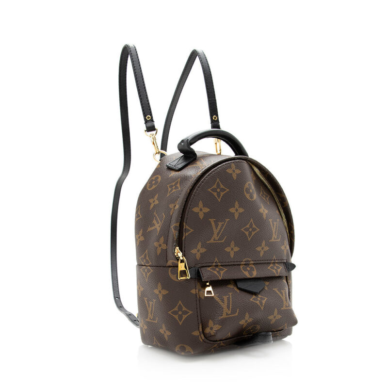 Louis Vuitton Monogram Canvas Palm Springs Mini Backpack (SHF-20573) AWE