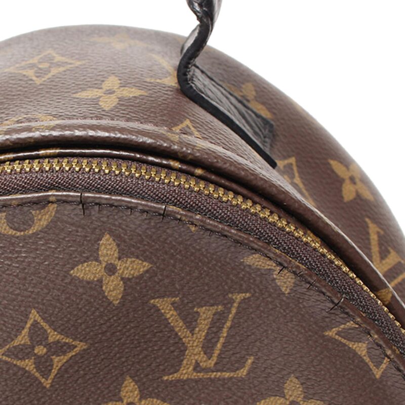 Louis Vuitton Monogram Reverse Palm Springs PM (SHG-6OlUGm) AWE - Image 7