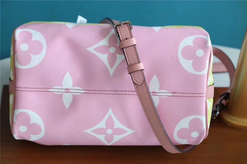 Louis Vuitton escale speedy bandouliere AWE - Image 4