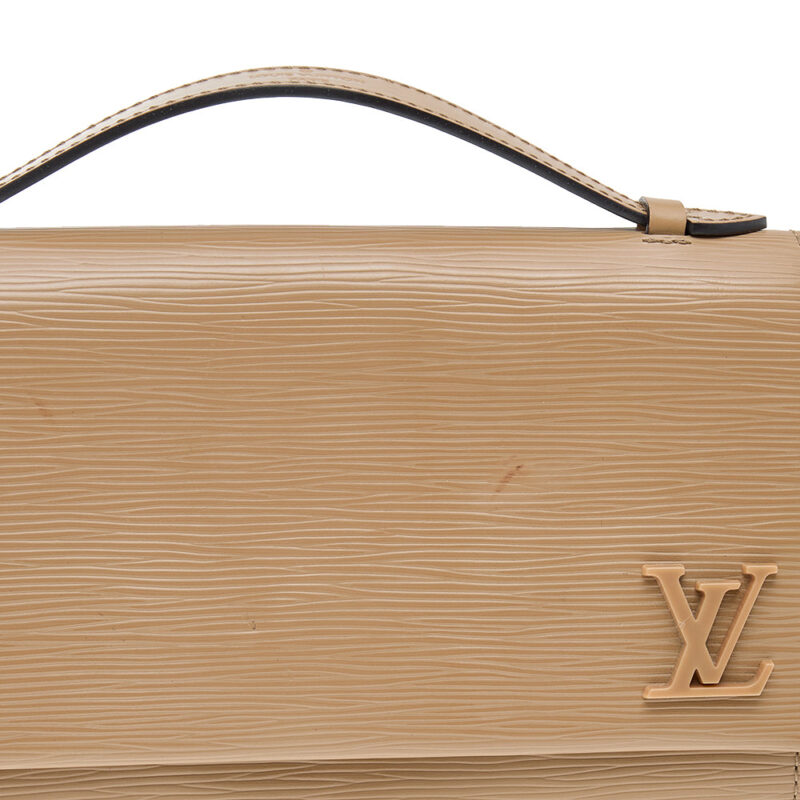 Louis Vuitton Dune Epi Leather Clery Pochette Bag AWE - Image 5